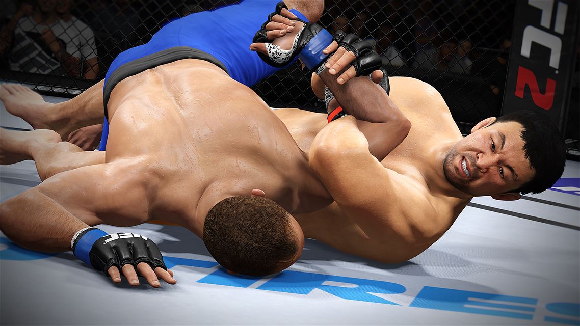 UFC终极格斗冠军2-游戏截图