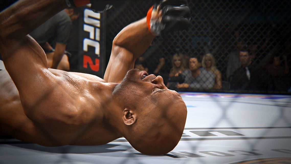 UFC终极格斗冠军2-游戏截图