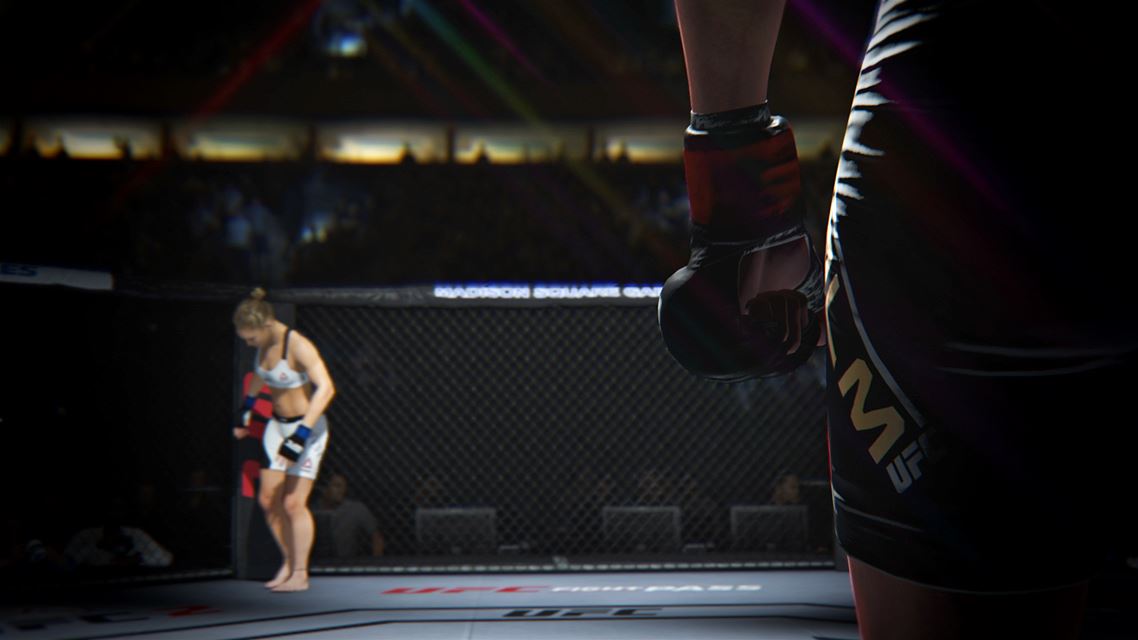 UFC终极格斗冠军2-游戏截图