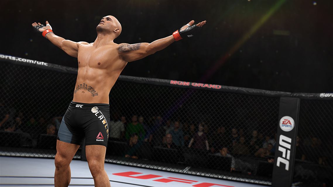 UFC终极格斗冠军2-游戏截图