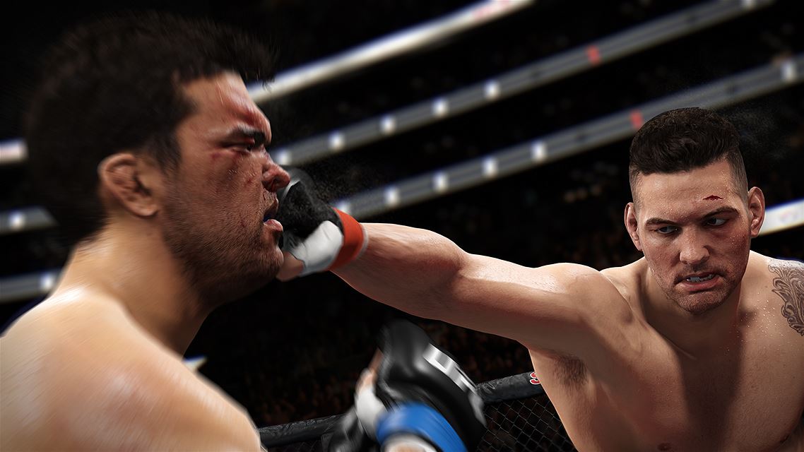 UFC终极格斗冠军2-游戏截图