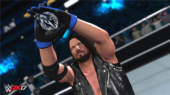 WWE 2K17-游戏截图