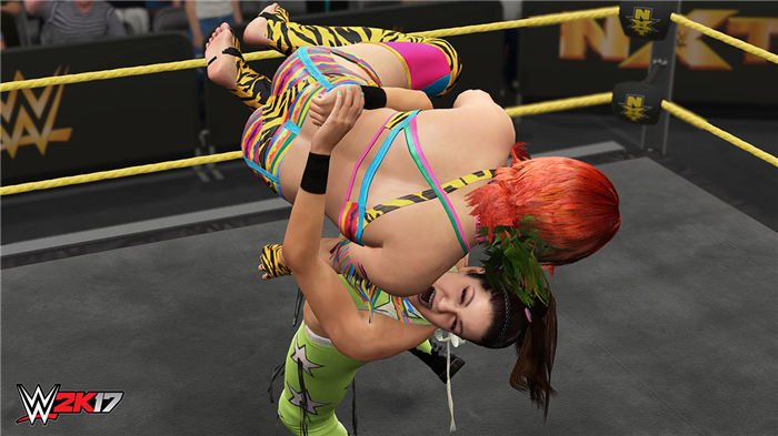 WWE 2K17-游戏截图