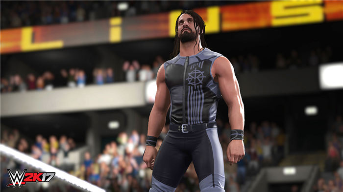WWE 2K17-游戏截图