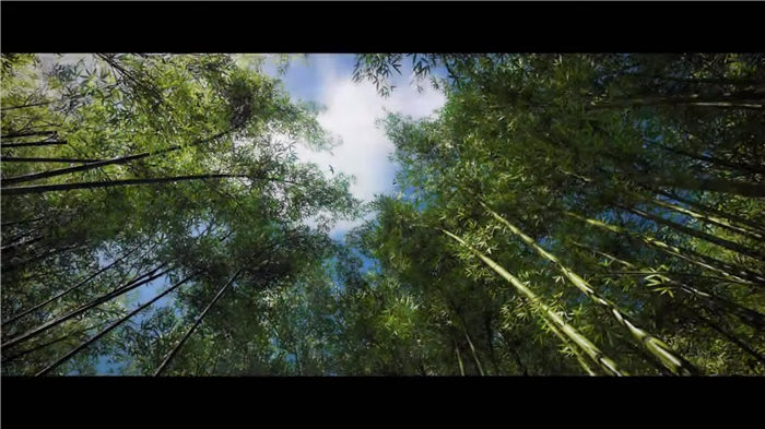 对马之魂-游戏截图